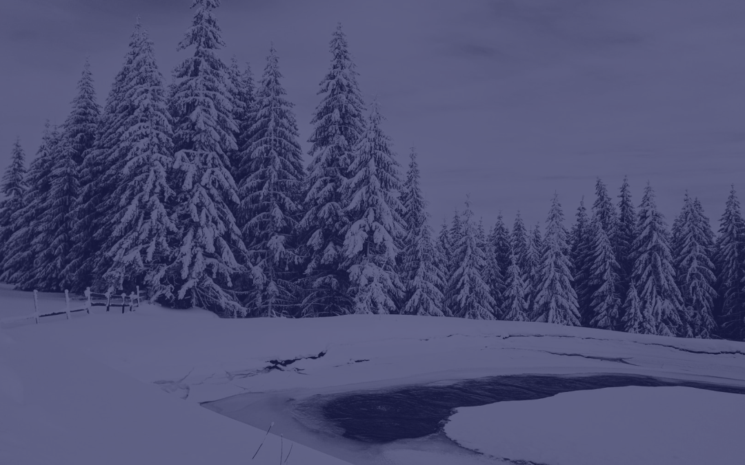 Spherik Accelerator – A Year in Review | 2019